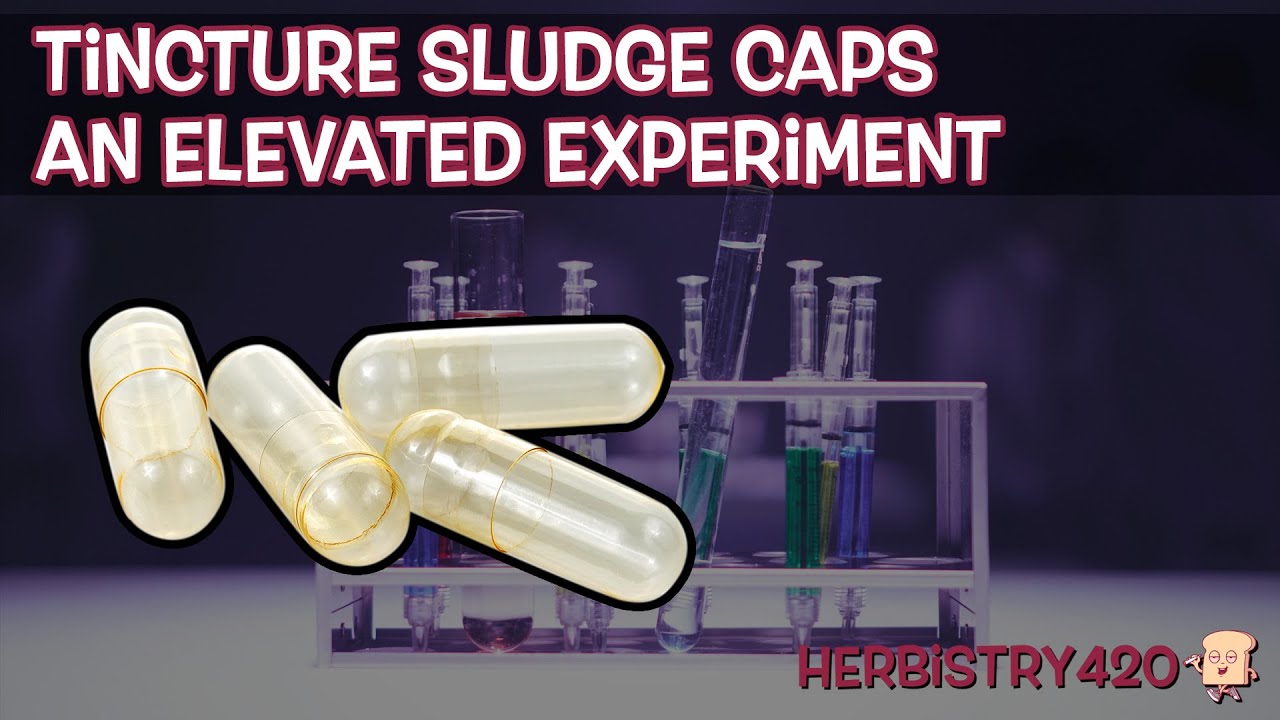 Cannabis Tincture Sludge Capsules: 4 Easy Steps