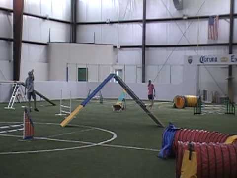 Carmylie Cascabel, Starters Gamblers, 6-27-09 (1st place)