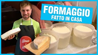 FORMAGGIO FATTO IN CASA - Tutti i passaggi per fare un buon formaggio stagionato con le vostre mani