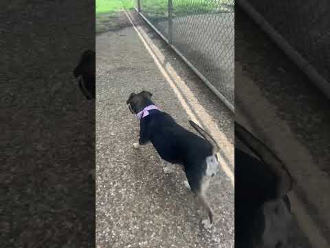 A2014030 Kasumi outside playing