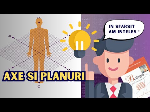 Planes and Axes of the Human Body - Explained so you don't get confused! (for medicine)