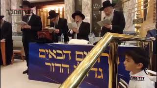 אמירת הסליחות בפנמה ע"י חבר מועצת חכמי התורה הגר"א סלים במהלך מסע להצלת עולם התורה