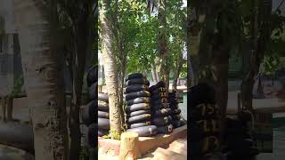 Download lagu silaturrahmi ke kediaman ulama yang berumur 190 tahun yang dikenal dengan sebutan 'Ayah Cibarengkok' mp3