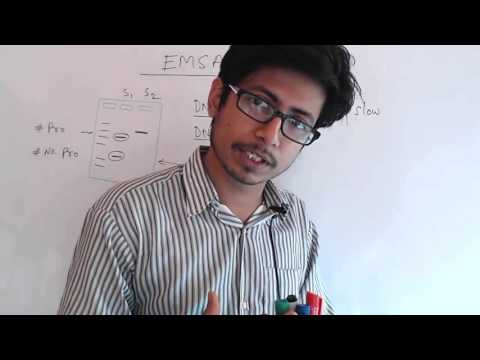 Gel mobility Shift Assay | Electrophoretic mobility test assay (EMSA)