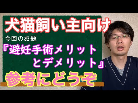犬・猫の手術の主な注意点