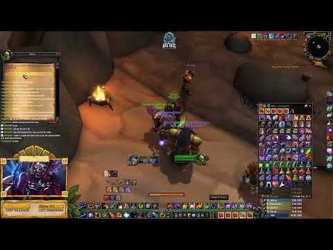 ULIIC - R14 / Scarab Lord Elemental Shaman - AQ40 speed run !