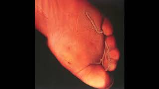 PIG - The Only Good One&#39;s A Dead One