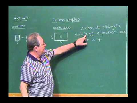 PAPMEM - Julho de 2013 - Áreas