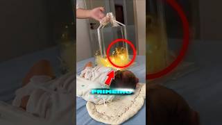 O gatinho AMIGO DA BÊBÊ!