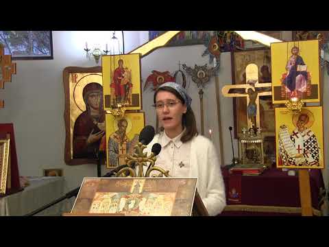 Rebeca Arădoaie - De-ţi va întreba vreodată (poezie)