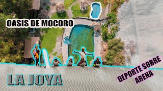 OASIS DE MOCORO EL BOSQUE ENCANTADO DUNAS Y SANDBOARD LA JOYA TRES RAZONES PARA VISITAR VERANO