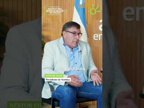 Néstor Eggs - Presidente de Noelma