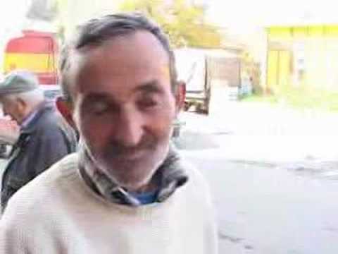 Pticiji grip i piletina