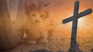 The risen lord ( chris de burgh)