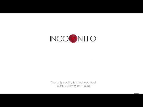 WALTER GEROMET - CD Incognito 未知 (Official teaser)