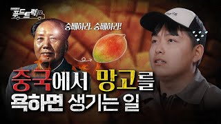 나는 (망고) 신이다 : 중국에서 신이라 불린 과일??｜한태웅의 푸드트럭