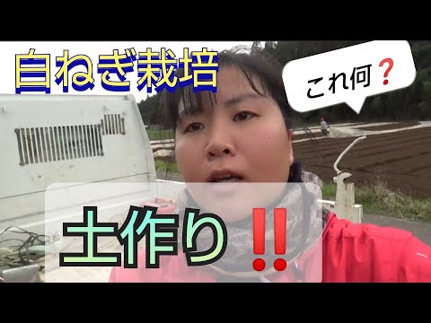 白ねぎ栽培 土作り‼️ ビニールで何するの？#330 令和５年2/17#農作業