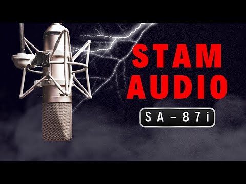 Stam Audio SA-87i (U87 clone) image 3