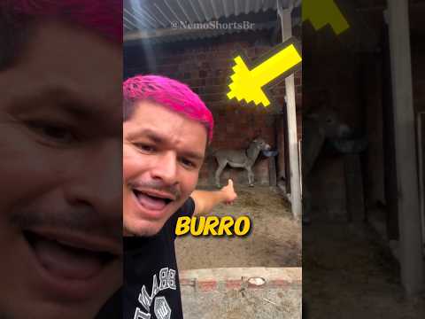 OQUE O LULA FEZ GENTE?😅😆 #shortsfeed