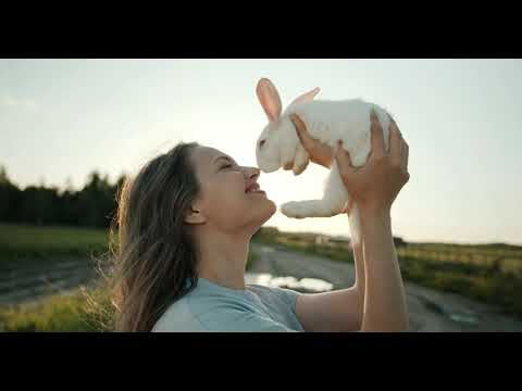 William Sheller Silfax