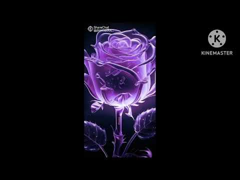 Ravali yadav  roses video🌹