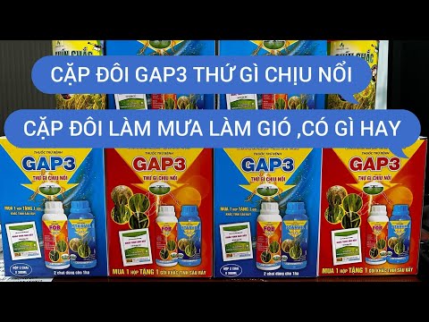 Gap 3 CẶP ĐÔI GAP3 QUẢN LÝ TỐTĐẠO ÔN,LEM LÉP HẠT,VI KHUẨN,LÉP VÀNG,LÉP ĐEN,VÀNG LÁ,