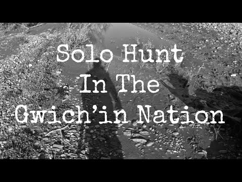 Solo Moose Hunt In The Gwich'in Nation 2025