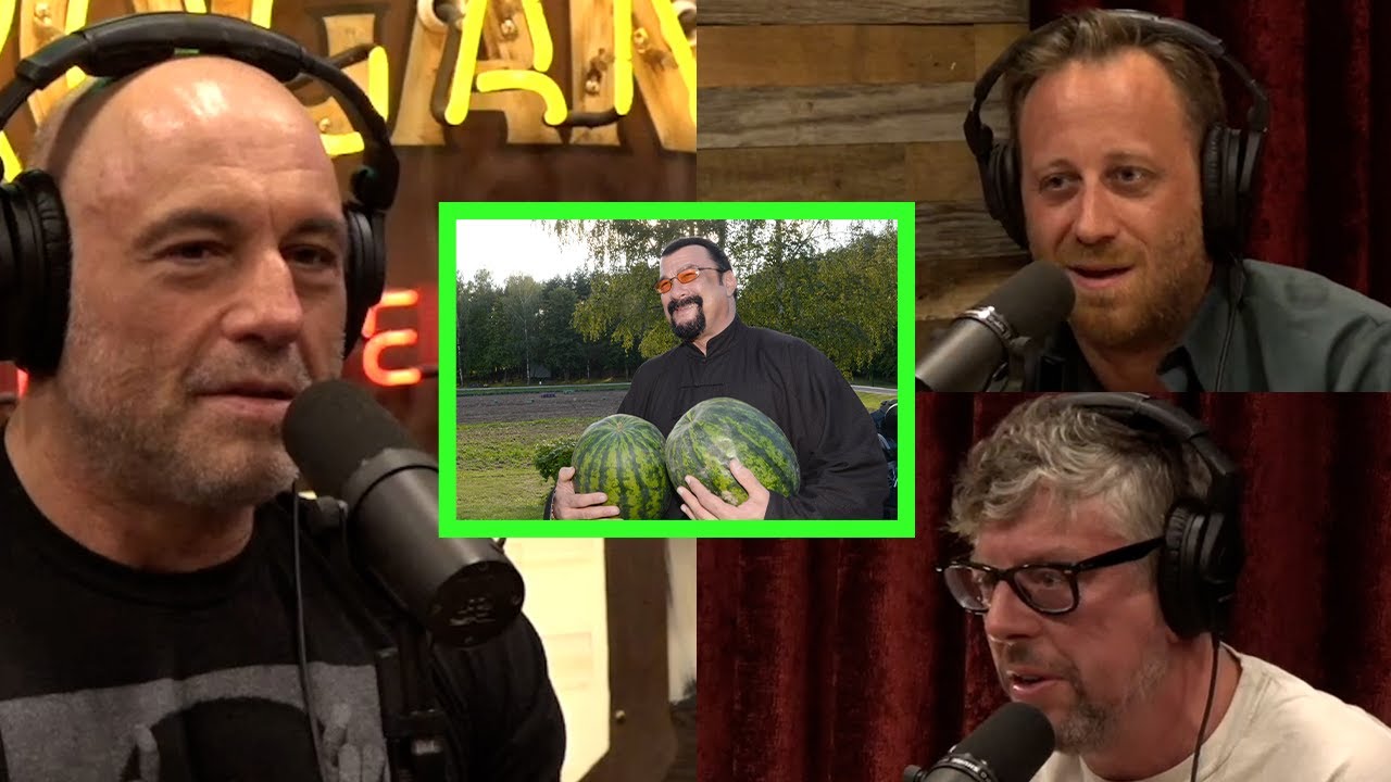 Exploring the Jogan Experience: A Dive into the World of Steven Seagal