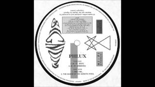Phlux - The Guard Of The Genetic Pool - 1996