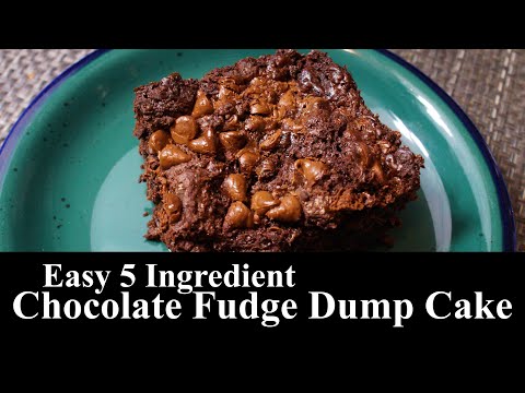5 Ingredient Chocolate Fudge Dump Cake | Quick Dessert | Easy Recipe | The Southern Mountain Kitchen