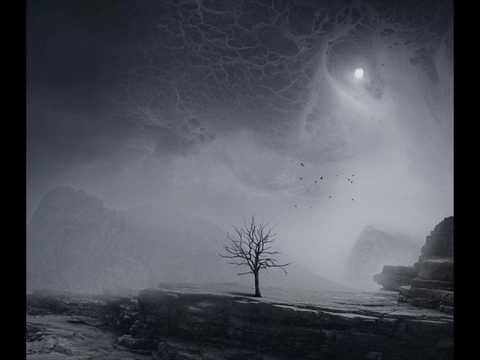 Tigerhook - Dedicated to change