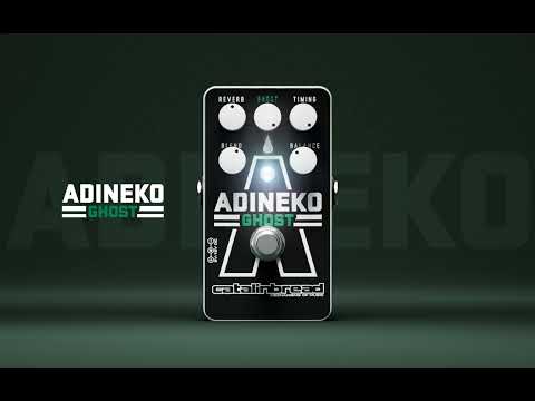 Video ID ETkSeVivhxw