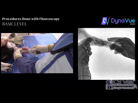 Minimally Invasive Intervention: The Basic Level of Fluoroscopy in Veterinary Healthcare.
