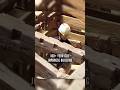 Japanese Building Without Nails Joe Rogan