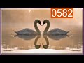 DEUTER - Wings of Love // Young Love