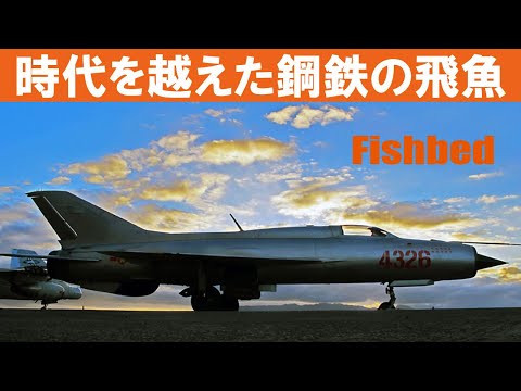 IUCN分類における絶滅の危険性を示す図。