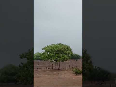 Chuva em Serrinha Rio Grande do Norte 20/01/2026