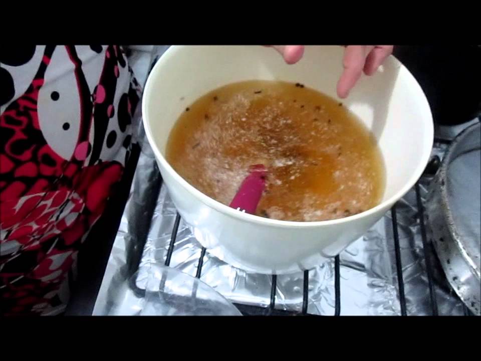 Como acabar com Pulgas & Carrapatos