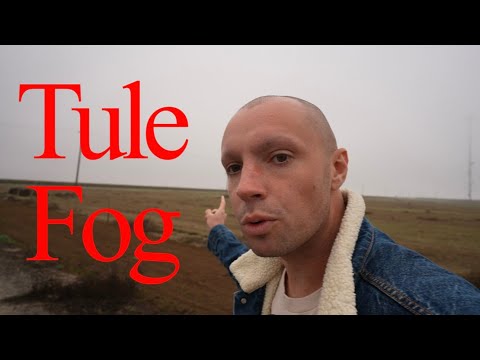 Exploring California's Dangerous Tule Fog