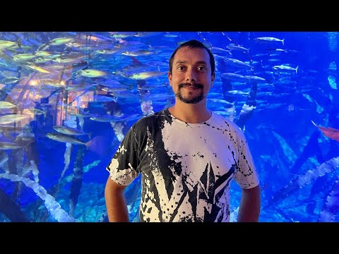 Carátula del Episodio