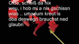 AustroPop- Wolfgang Ambros -  Warum host des gmocht