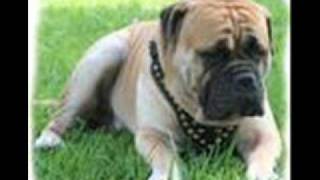 The Hollies - He ain't heavy, he's my brother