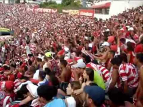 Piedade video