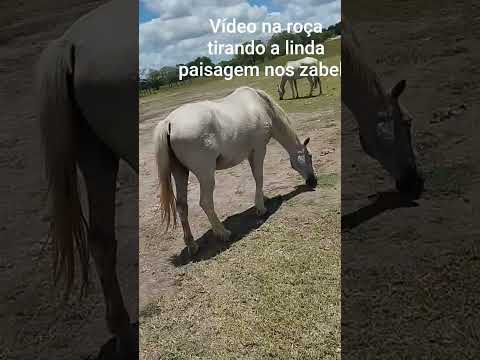 hashtag agrícolas mostrando a linda paisagem no açude do zabelê na Paraíba
