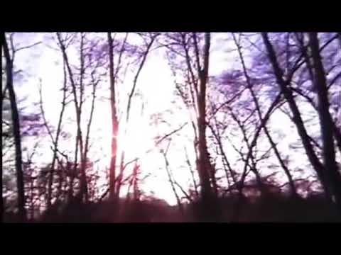 Mary Hopkin and Paul McCartney Goodbye (1969)