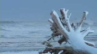 preview picture of video 'Snow on Pacific Northwest Coast beach'