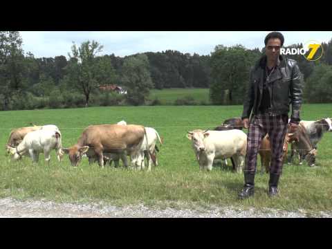 Lenny im Radio 7 Land