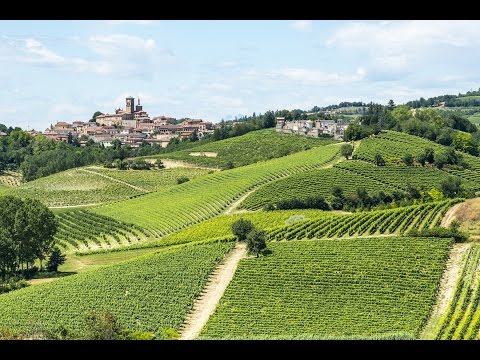 Langhe, Piedmont, Italy, Europe