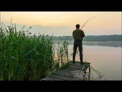 Dunăre pe apa ta - live Gigi Valentin