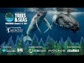 Trees & Seas | Teaser Video #5